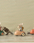 Mouse car - Coral