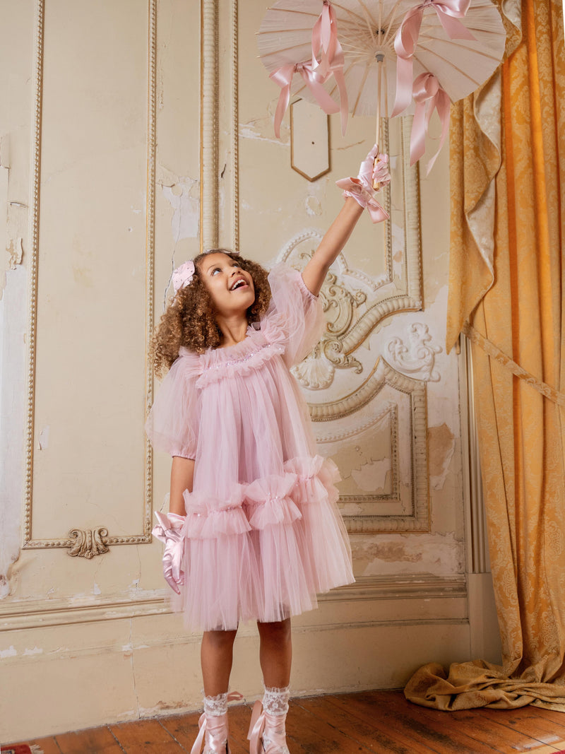 Fraisier Tulle Dress Violite