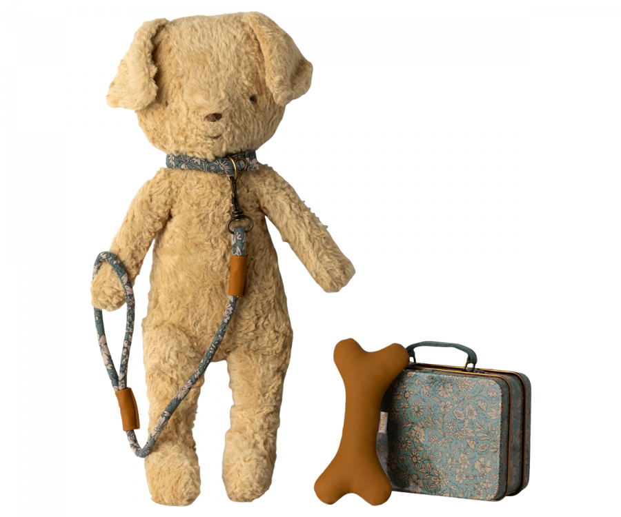 Accessoires chiot - Bleu