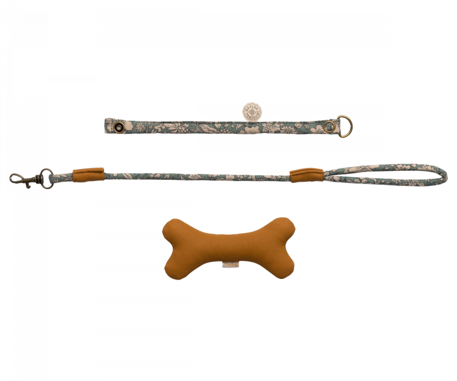 Accessoires chiot - Bleu