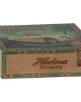 Grandma and Grandpa mice in cigarbox