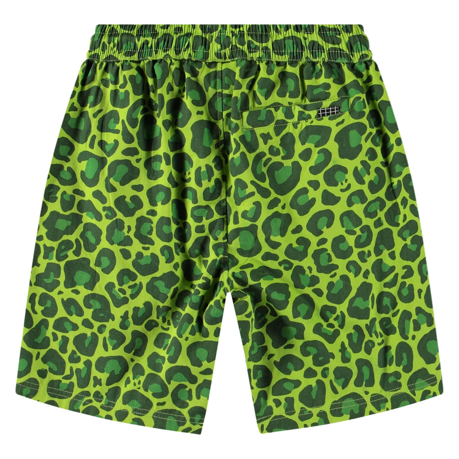 Shorts Avart Jaguar Green