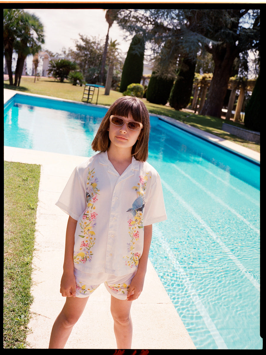 Shirts Rui Picturesque