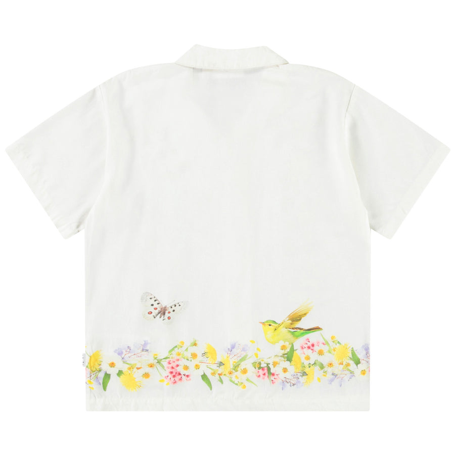 Shirts Rui Picturesque