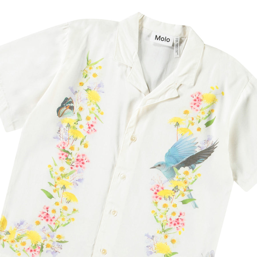 Shirts Rui Picturesque