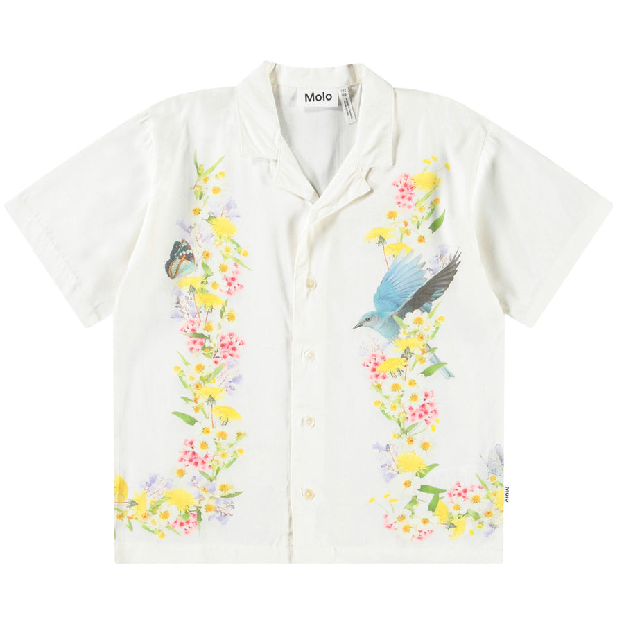 Shirts Rui Picturesque