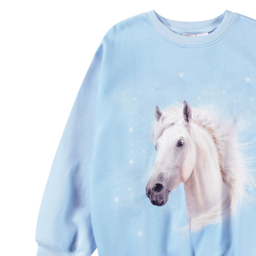 Sweat shirt Monti Horse Blue