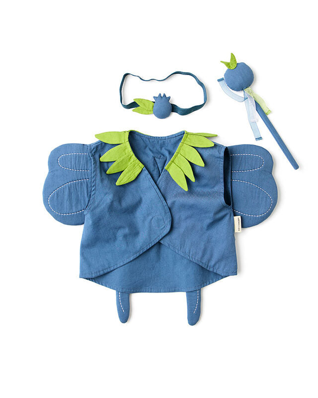 Fée des myrtilles DRESS-UP