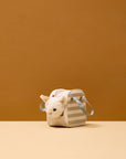 Chat et sac de transport
