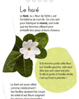 Minimiki – Carnet créatif – Mohea à Tahiti nouvelle édition