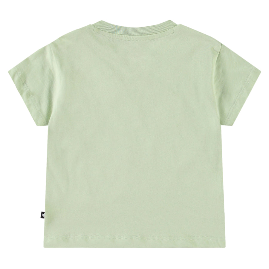 T-shirts Short sleeves Enzo Misty Green
