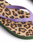 Flip flops Zeppo Allover Leo