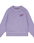 Fluo Gd Violet Tulip
