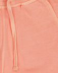 Shorts Big Wave Fresh Salmon