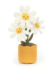 Amuseable Daisy