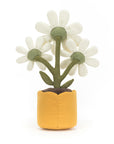 Amuseable Daisy