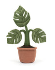 Amuseable Monstera Plant
