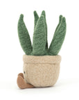 Amuseable Aloe Vera Small
