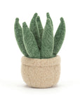 Amuseable Aloe Vera Small