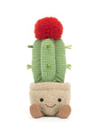 Amuseable Moon Cactus