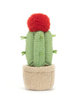Amuseable Moon Cactus