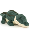 Allexi Alligator