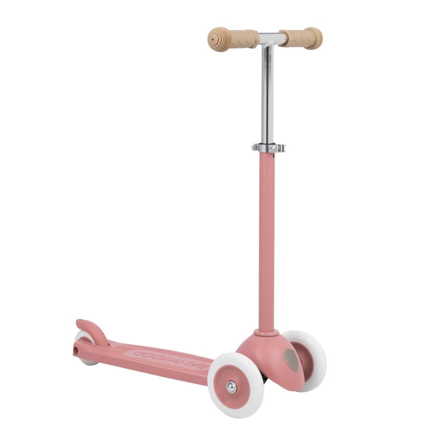 Eco Scooter Raspberry