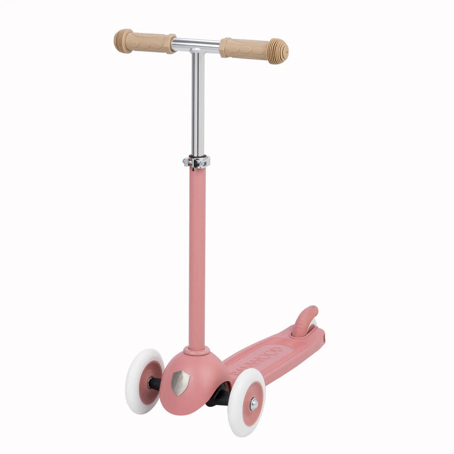 Eco Scooter Raspberry