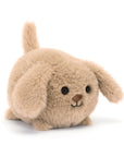 Caboodle Puppy