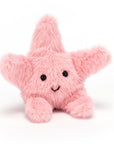 Fluffy Starfish