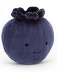 Fabulous Fruit Blueberry