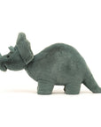 Fossilly Triceratops