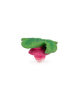 Ramonita the Radish
