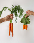 Cathy the Carrot Mini Doudou-Teether