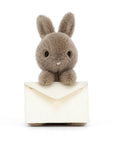 Messenger Bunny