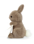Messenger Bunny