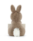 Messenger Bunny