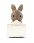 Messenger Bunny