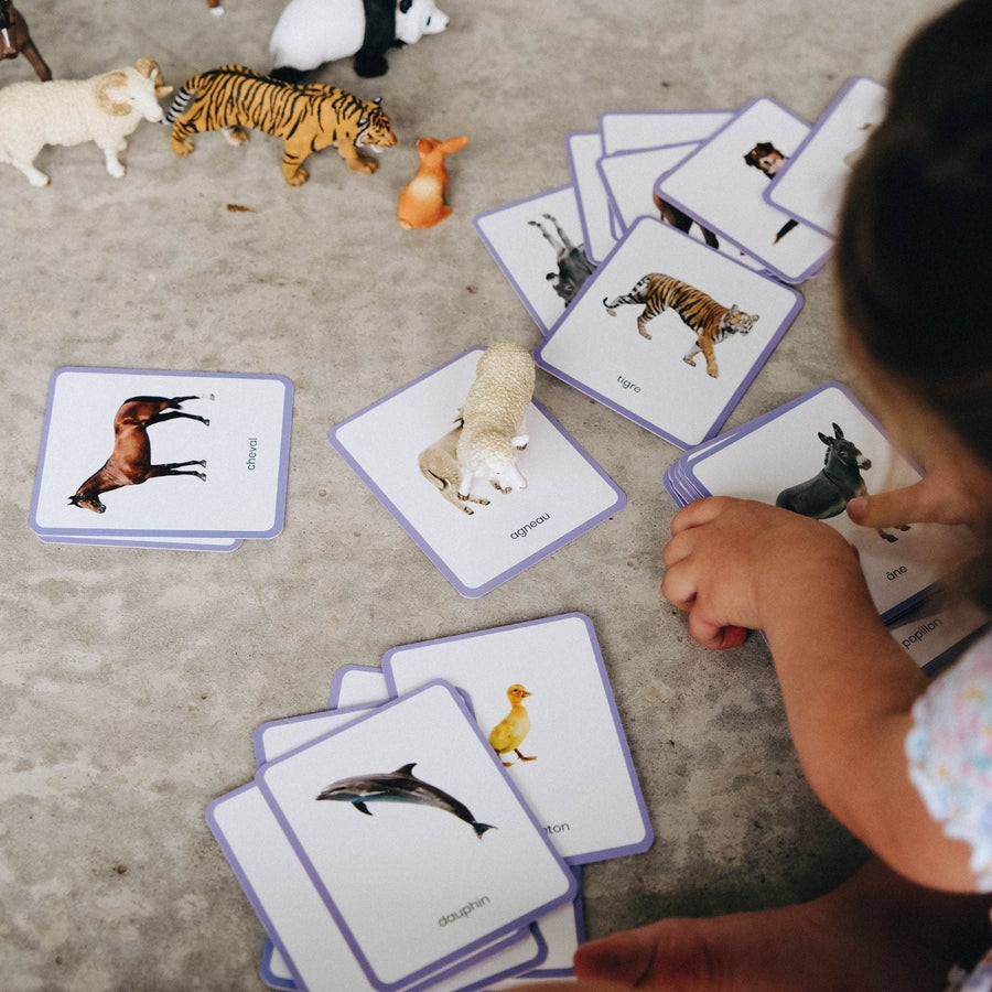Mini-Mondy : Animaux