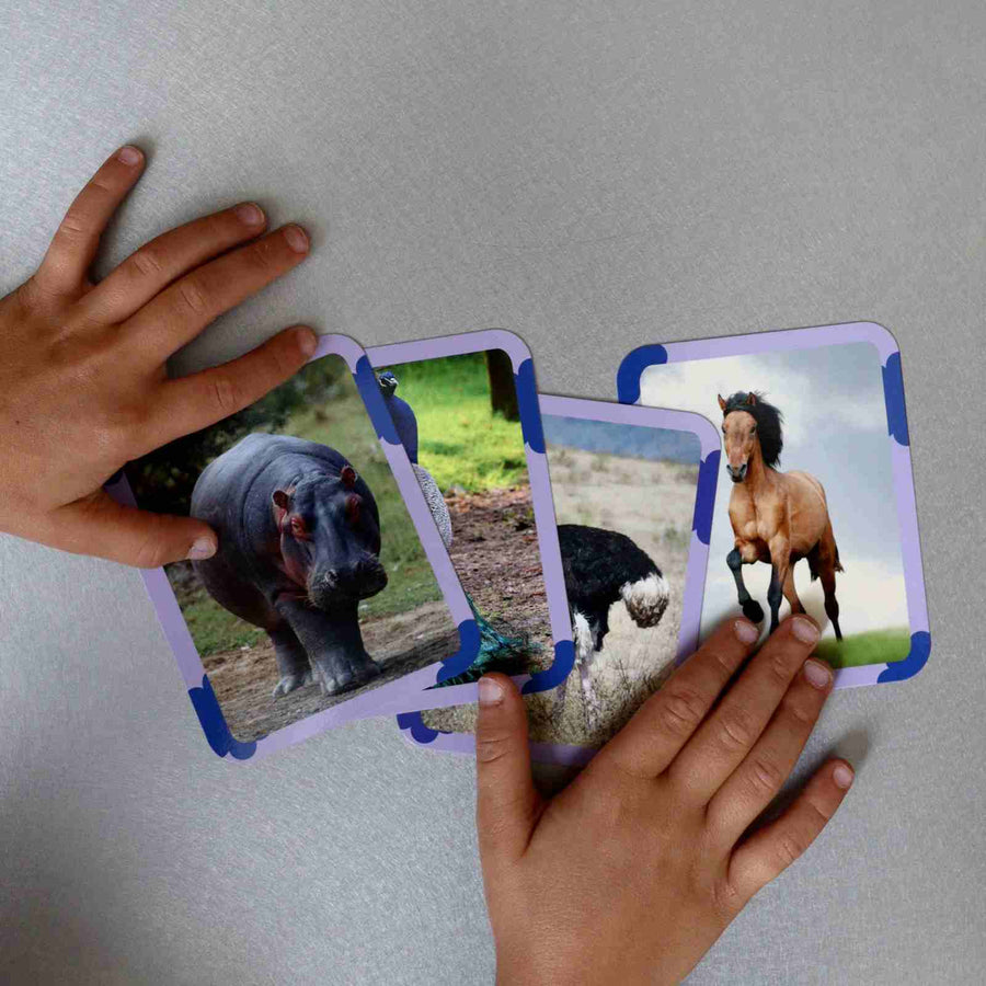 Cartes Flash - Matériel de vocabulaire, lecture et écriture - ANIMAUX