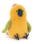 Budgeby Parrot