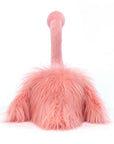 Rosario Flamingo
