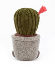 Silly Succulent Barrel Cactus