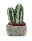 Silly Succulent Columnar Cactus