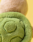 Thimble Turtle
