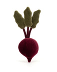 Vivacious Vegetable Beetroot