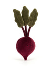Vivacious Vegetable Beetroot