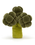 Vivacious Vegetable Broccoli