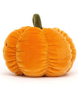 Vivacious Vegetable Pumpkin