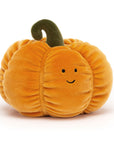 Vivacious Vegetable Pumpkin